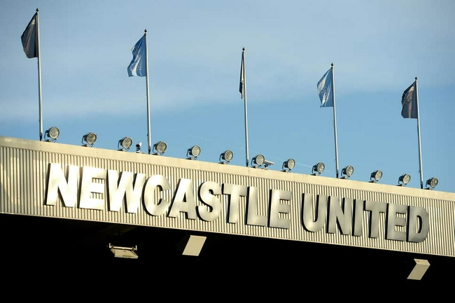 El Consorcio saudita fortalecerá la alineación de Newcastle para atraer a Fernando Torres